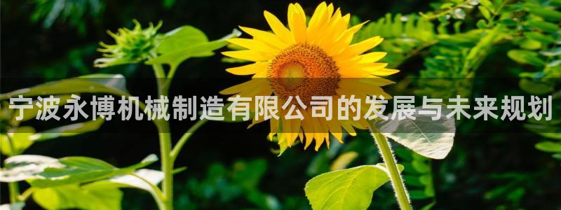 万事娱乐主管薪资结构