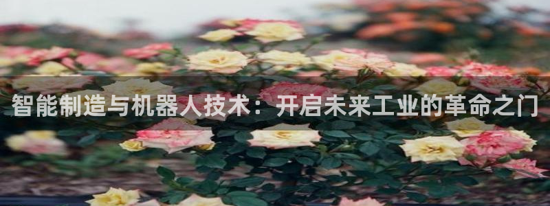 万事达娱乐设施