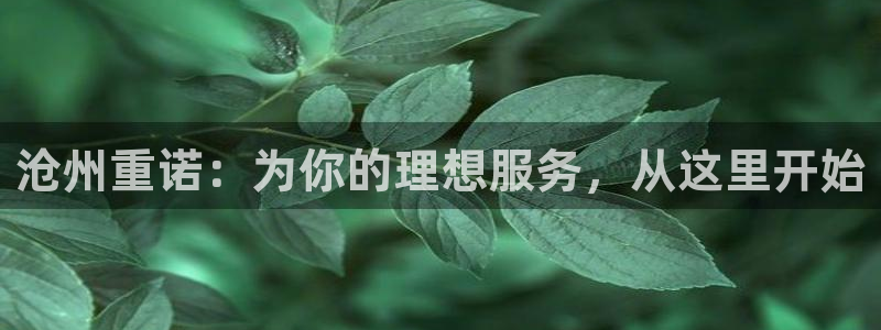 W万事娱乐