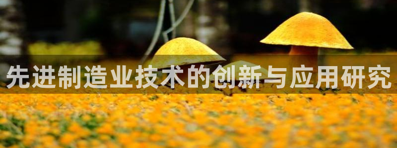 万事达娱乐下载